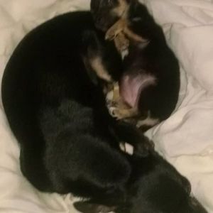 Meet your Posher, William